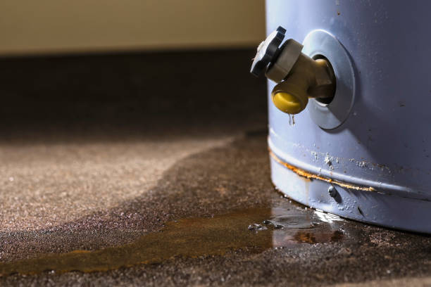 Best Flooded house restoration  in Hudsonville, MI