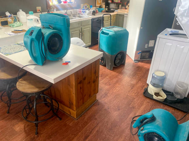 Best Flood damage cleanup  in Hudsonville, MI