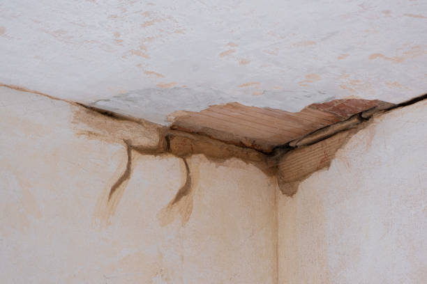 Best Ceiling water damage repair  in Hudsonville, MI