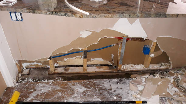 Best Sewage cleanup and water damage restoration  in Hudsonville, MI