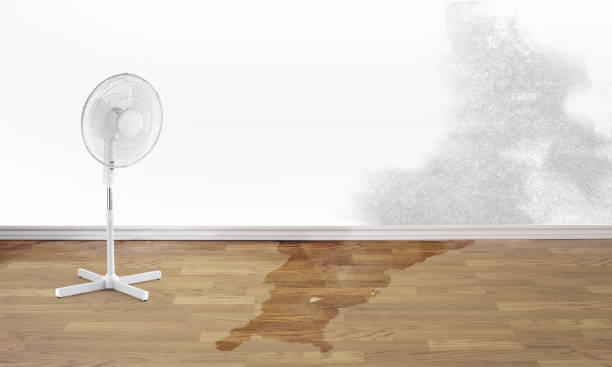 Best Water damage contractors near me  in Hudsonville, MI