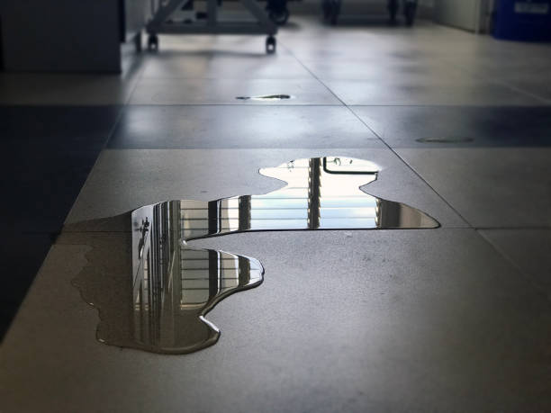 Best Water damage restoration near me  in Hudsonville, MI