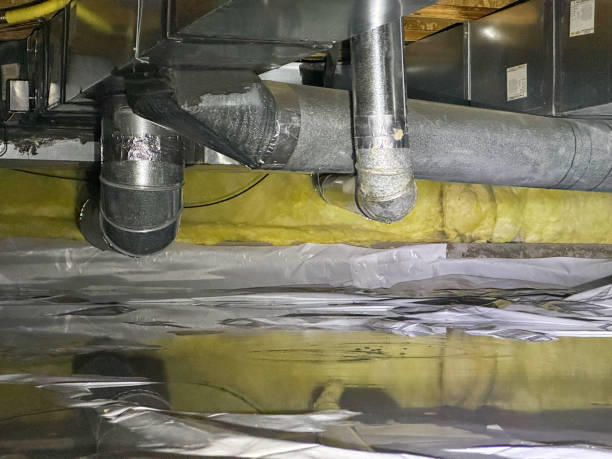 Best Flood restoration services  in Hudsonville, MI